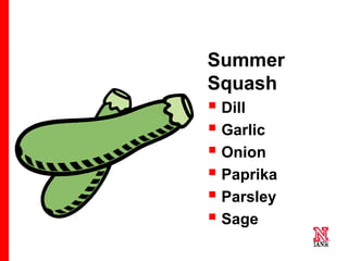 28 28
28
Summer
Squash
 Dill
 Garlic
 Onion
 Paprika
 Parsley
 Sage
 