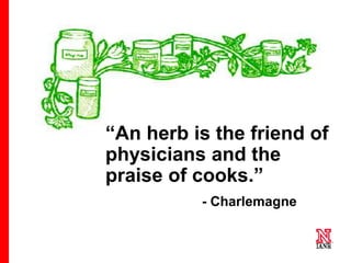 3 3
3
“An herb is the friend of
physicians and the
praise of cooks.”
- Charlemagne
 