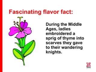 48 48
48
During the Middle
Ages, ladies
embroidered a
sprig of thyme into
scarves they gave
to their wandering
knights.
Fascinating flavor fact:
 