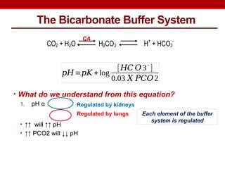 Acid-base balance Buffers & Bicarbs.pptx