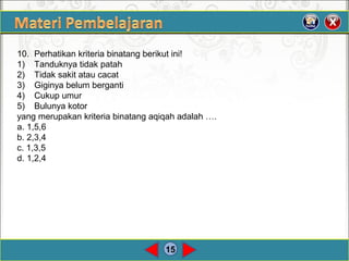 15
10. Perhatikan kriteria binatang berikut ini!
1) Tanduknya tidak patah
2) Tidak sakit atau cacat
3) Giginya belum berganti
4) Cukup umur
5) Bulunya kotor
yang merupakan kriteria binatang aqiqah adalah ….
a. 1,5,6
b. 2,3,4
c. 1,3,5
d. 1,2,4
 