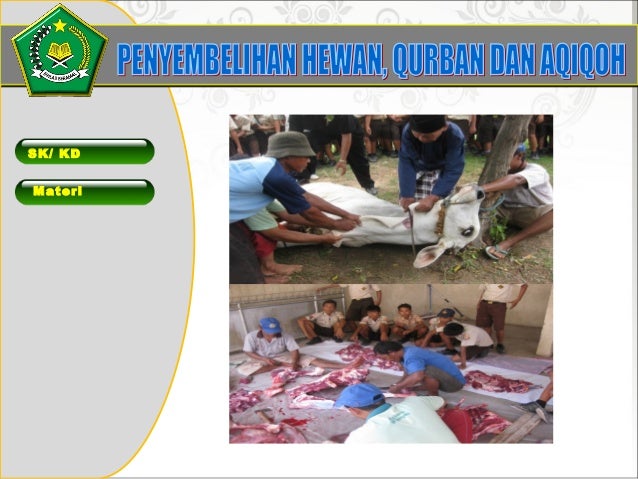 Ppt Penyembelihan Hewan Qurban Dan Aqiqah
