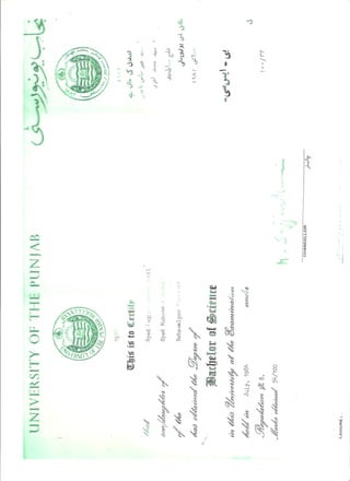 BSc Degree | PDF