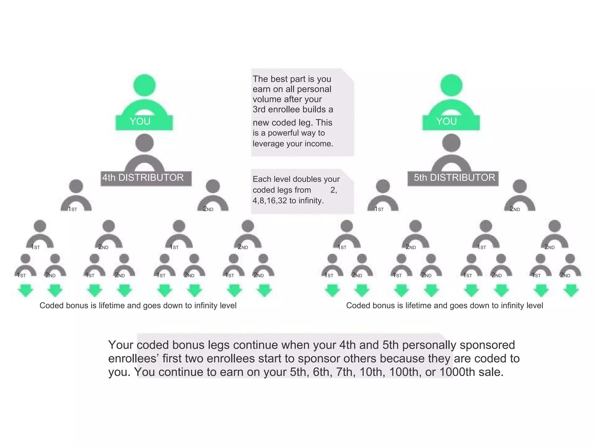 The best part is you earn on all personal volume after your 3rd enrollee builds a YOU new coded leg. This YOU is a powerful way to leverage your income. 4th DISTRIBUTOR Each level doubles your 5th DISTRIBUTOR coded legs from 2, 4,8,16,32 to infinity. 1 ST 2 ND 1 ST 2 ND 1 ST 2 ND 1 ST 2 ND 1 ST 2 ND 1 ST 2 ND 1 ST 2 ND 1 ST 2 ND 1 ST 2 ND 1 ST 2 ND 1 ST 2 ND 1 ST 2 ND 1 ST 2 ND 1 ST 2 ND Coded bonus is lifetime and goes down to infinity level Coded bonus is lifetime and goes down to infinity level Your coded bonus legs continue when your 4th and 5th personally sponsored enrollees’ first two enrollees start to sponsor others because they are coded to you. You continue to earn on your 5th, 6th, 7th, 10th, 100th, or 1000th sale. 