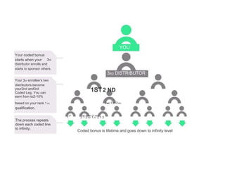 YOU Your coded bonus starts when your 3 rd distributor enrolls and starts to sponsor others. 3 RD  DISTRIBUTOR Your 3 rd  enrollee’s two distributors become your2nd and3rd Coded Leg. You can earn from to2-10% based on your rank  1  ST qualification. ST 1 The process repeats down each coded line to infinity. 1ST   2 ND 2 ND  1  ST  2  ND ND ST ND ST ND 2 1 2  ND  1  ST  2 1 2 Coded bonus is lifetime and goes down to infinity level 