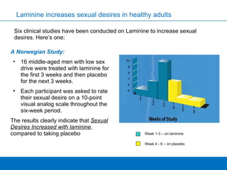 Laminine increases sexual desires in healthy adults A Norwegian Study: 16 middle-aged men with low sex drive were treated with laminine for the first 3 weeks and then placebo for the next 3 weeks.  Each participant was asked to rate their sexual desire on a 10-point visual analog scale throughout the six-week period.  The results clearly indicate that  Sexual Desires Increased with laminine , compared to taking placebo Week 1-3 – on laminine Week 4 - 6 – on placebo Six clinical studies have been conducted on Laminine to increase sexual desires. Here’s one: 