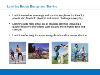 Laminine Boosts Energy and Stamina Laminine used as an energy and stamina supplement is ideal for people who face both physical and mental challenges everyday.  Laminine gets more effect out of physical activities including a quicker recovery after a hard work out and more muscle tone and strength.  Laminine effectively improves energy levels and increases stamina.  
