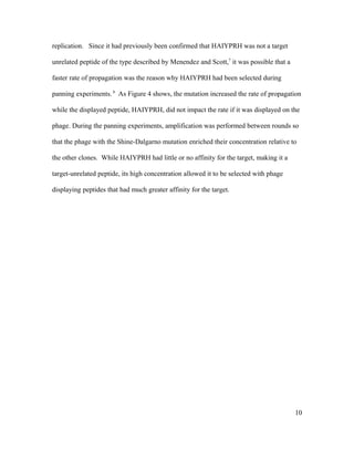 replication. Since it had previously been confirmed that HAIYPRH was not a target
unrelated peptide of the type described by Menendez and Scott,7
it was possible that a
faster rate of propagation was the reason why HAIYPRH had been selected during
panning experiments. 8
As Figure 4 shows, the mutation increased the rate of propagation
while the displayed peptide, HAIYPRH, did not impact the rate if it was displayed on the
phage. During the panning experiments, amplification was performed between rounds so
that the phage with the Shine-Dalgarno mutation enriched their concentration relative to
the other clones. While HAIYPRH had little or no affinity for the target, making it a
target-unrelated peptide, its high concentration allowed it to be selected with phage
displaying peptides that had much greater affinity for the target.
10
 