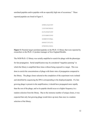 unrelated peptides and/or peptides with an especially high rate of occurrence.9
These
reported peptides are listed in Figure 5.
APWHLSSQYSRT
IDTFYMSTMSHS
ALTLHPQPLDHP
SVSVGMKPSPRP
HSNWRVPSPWQL
AHRHPISFLSTL
ATWSHHLSSAGL
Figure 5. Potential target-unrelated peptides in the Ph.D.-12 library that were reported by
researchers to the Ph.D.-12 product manager at New England Biolabs.
The NEB Ph.D.-12 library was serially amplified to search for phage with the phenotype
for fast propagation. Serial amplification may be considered “targetless panning” in
which the library is amplified three times without being exposed to a target. This was
done to enrich the concentrations of phage with faster rates of propagation compared to
the library. The phage clones selected at the completion of the experiment were isolated
and identified by sequencing the DNA corresponding to the displayed peptide. If a fast
growing phage is present in the amplification, it should have propagated more rapidly
than the rest of the phage, and so its peptide should occur at a higher frequency in a
random selection from the library. Due to the immense number of unique clones, it was
expected that only fast growing phage would show up more than once in a random
selection of the library.
12
 