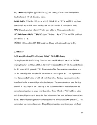 PEG/NaCl Polyethylene glycol-8000 (20 g) and 14.61 g of NaCl were dissolved to a
final volume of 100 mL deionized water.
Iodide Buffer TE buffer (500 μL) at pH 8.0, 500 μL 0.1 M EDTA, and 29.98 g sodium
iodide were mixed then added water so that the total volume of solution was 50 mL.
70% Ethanol Absolute ethanol (70 mL) were added to 30 mL deionized water.
10X Tris/Borate/EDTA (TBE) 107.8 g of Tris base, 5.4 g of EDTA, and 55.0 g of boric
acid diluted to 1 L.
1X TBE 100 mL of the 10X TBE stock was diluted with deionized water to 1 L.
3.3 Methods
3.3.1 Amplification of New England Biolab’s Ph.D.-12 Library
To amplify the Ph.D.-12 Library, 20 mL of autoclaved LB Broth, 200 µL of ER2738
overnight culture and 10 µL of Ph.D.-12 library were added to a 250 mL flask and shaken
for 4.5 hours at 250 rpm and 37°C. The contents of the flask were then transferred to a
50 mL centrifuge tube and spun for ten minutes at 10,000 rpm at 4°C. The supernatant
was then poured off into a new 50 mL centrifuge tube. Residual supernatant was also
transferred to the new centrifuge tube via pipetman. The supernatant was spun for three
minutes at 10,000 rpm at 4°C. The top 16 mL of supernatant was transferred from the
second centrifuge tube to a new centrifuge tube. Then, 2.7 mL of PEG/NaCl was added
and the centrifuge tube was put on ice for a minimum of one hour and a maximum of two
hours. The cold centrifuge tube was then spun for ten minutes at 10,000 rpm at 4°C. The
supernatant was removed as waste. The cold centrifuge tube was then respun briefly at
15
 