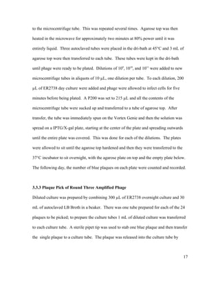 to the microcentrifuge tube. This was repeated several times. Agarose top was then
heated in the microwave for approximately two minutes at 80% power until it was
entirely liquid. Three autoclaved tubes were placed in the dri-bath at 45°C and 3 mL of
agarose top were then transferred to each tube. These tubes were kept in the dri-bath
until phage were ready to be plated. Dilutions of 109
, 1010
, and 1011
were added to new
microcentrifuge tubes in aliquots of 10 µL, one dilution per tube. To each dilution, 200
µL of ER2738 day culture were added and phage were allowed to infect cells for five
minutes before being plated. A P200 was set to 215 µL and all the contents of the
microcentrifuge tube were sucked up and transferred to a tube of agarose top. After
transfer, the tube was immediately spun on the Vortex Genie and then the solution was
spread on a IPTG/X-gal plate, starting at the center of the plate and spreading outwards
until the entire plate was covered. This was done for each of the dilutions. The plates
were allowed to sit until the agarose top hardened and then they were transferred to the
37°C incubator to sit overnight, with the agarose plate on top and the empty plate below.
The following day, the number of blue plaques on each plate were counted and recorded.
3.3.3 Plaque Pick of Round Three Amplified Phage
Diluted culture was prepared by combining 300 µL of ER2738 overnight culture and 30
mL of autoclaved LB Broth in a beaker. There was one tube prepared for each of the 24
plaques to be picked; to prepare the culture tubes 1 mL of diluted culture was transferred
to each culture tube. A sterile pipet tip was used to stab one blue plaque and then transfer
the single plaque to a culture tube. The plaque was released into the culture tube by
17
 