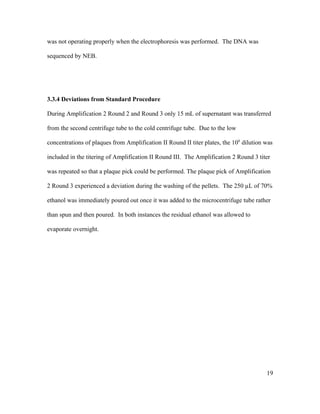 was not operating properly when the electrophoresis was performed. The DNA was
sequenced by NEB.
3.3.4 Deviations from Standard Procedure
During Amplification 2 Round 2 and Round 3 only 15 mL of supernatant was transferred
from the second centrifuge tube to the cold centrifuge tube. Due to the low
concentrations of plaques from Amplification II Round II titer plates, the 108
dilution was
included in the titering of Amplification II Round III. The Amplification 2 Round 3 titer
was repeated so that a plaque pick could be performed. The plaque pick of Amplification
2 Round 3 experienced a deviation during the washing of the pellets. The 250 µL of 70%
ethanol was immediately poured out once it was added to the microcentrifuge tube rather
than spun and then poured. In both instances the residual ethanol was allowed to
evaporate overnight.
19
 