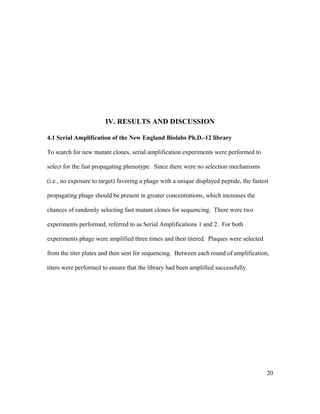 IV. RESULTS AND DISCUSSION
4.1 Serial Amplification of the New England Biolabs Ph.D.-12 library
To search for new mutant clones, serial amplification experiments were performed to
select for the fast propagating phenotype. Since there were no selection mechanisms
(i.e., no exposure to target) favoring a phage with a unique displayed peptide, the fastest
propagating phage should be present in greater concentrations, which increases the
chances of randomly selecting fast mutant clones for sequencing. There were two
experiments performed, referred to as Serial Amplifications 1 and 2. For both
experiments phage were amplified three times and then titered. Plaques were selected
from the titer plates and then sent for sequencing. Between each round of amplification,
titers were performed to ensure that the library had been amplified successfully.
20
 