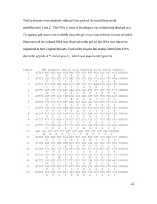 Twelve plaques were randomly selected from each of the round three serial
amplifications 1 and 2. The DNA of each of the plaques was isolated and checked on a
1% agarose gel (data is not available since the gel visualizing software was out of order).
Since most of the isolated DNA was observed on the gel, all the DNA was sent to be
sequenced at New England Biolabs. Each of the plaques has readily identifiable DNA
due to the peptide at 5’ end of gene III, which was sequenced (Figure 6).
Sample DNA sequence (amino acid sequence shown below codons)
1 ACTCT AAG ANG AAT GCG GAG CAT GCT ACT ACG CAT ATT ACG GGTGGA
K ? N A E H A T T H I T
2 ACTCT CAG CNG NCT TCT AAT TTG TCT TAT CCG GCG CAT GAG GGTGGA
P ? ? S N L S Y P A H E
3 ACTCT NCG CNT NNT NRG NCT NNT CGG TCG AAG TNT ANG CNN GGNGGN
? ? ? ? ? ? R S K ? ? ?
4 ACTCT GAT GTT CCG AAT AAG ACG CAG TTT GCT CGT TTT CCT GGTGGN
N V P N K T Q F A R F P
5 ACTCT GGT GTT ACG TAG GCG GCG GGG GCT CCT TTG TGG GGT GGTGGA
G V T - A A G A P L W G
6 ACTCT CTT CCG CCG ATT CAT TAT AAT CGG TCG CCG CCT CCG GGTGGA
G P P I H Y N R S P P P
7 ACTCT GGG TTT ACT ATG GAG CAG CGG ACG ACG TTT CTG CAT GGTGGA
G F T M E Q R T T F L H
8 ACTCT TCT CCT CCG TTG CTG TTG TTT GGT GCT CTG ACG CGG GGTGGA
S P P L L L F G A L T R
9 ACTCT ATT GCT AAG CCG ACT GCT GTG CCT CCT TCG GAT CAT GGTGGA
I A K P T A V P P S D H
10 ACTCT GTT GAG AAG TAT TCT AGT ATG GAT TAT CCG CCG AGG GGTGGA
V E K Y S S M D Y P P R
11 AAT CAG GCG GCT TCT ATT ACT AAG CGT GTT CCG TAT GGTGGA
N Q A A S I T N R V P Y
12 ACTCT GAT GNG NCT ACG AAT TCG TGG AAT GTT CCG AAG CCT GGTGGA
D ? ? T N S S N V P K P
13 ACTCT TAN CCT ANA CAG ACT AGT AAG GAT GGT AGT CTT NGG GGNNGA
Y P ? Q T S K D G S L ?
14 ACTCT TTT GNG GTT CCG GAT AGT TCG TTG TCG AGT ACT CGG GGTGGN
F V P D S S L S S L T R
15 ACTCT GGT GNG TGG CAT GCG ACT ACG CAT CCG GCT GAG TCG GGTGGA
G ? W H A T S H P A E S
16 ACTCT GGG ACT TTG TGT CTT GCG CAT CGT CCG TGT CAG AAT GGNGGA
G T L C L A H R P C Q N
17 ACTCT GAG CAT ACG CTT GGT TAT CGT CTT GAG CGG CCG CTG GGTGGA
E H T L G Y R L E R P L
18 ACTCT GCG AGT CTT AAT AAT ATG ATG GCG CCT CTG CTT CCG GGTGGA
A S L N N M M A P L L P
22
 