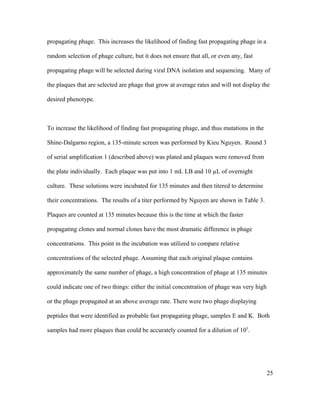 propagating phage. This increases the likelihood of finding fast propagating phage in a
random selection of phage culture, but it does not ensure that all, or even any, fast
propagating phage will be selected during viral DNA isolation and sequencing. Many of
the plaques that are selected are phage that grow at average rates and will not display the
desired phenotype.
To increase the likelihood of finding fast propagating phage, and thus mutations in the
Shine-Dalgarno region, a 135-minute screen was performed by Kieu Nguyen. Round 3
of serial amplification 1 (described above) was plated and plaques were removed from
the plate individually. Each plaque was put into 1 mL LB and 10 µL of overnight
culture. These solutions were incubated for 135 minutes and then titered to determine
their concentrations. The results of a titer performed by Nguyen are shown in Table 3.
Plaques are counted at 135 minutes because this is the time at which the faster
propagating clones and normal clones have the most dramatic difference in phage
concentrations. This point in the incubation was utilized to compare relative
concentrations of the selected phage. Assuming that each original plaque contains
approximately the same number of phage, a high concentration of phage at 135 minutes
could indicate one of two things: either the initial concentration of phage was very high
or the phage propagated at an above average rate. There were two phage displaying
peptides that were identified as probable fast propagating phage, samples E and K. Both
samples had more plaques than could be accurately counted for a dilution of 105
.
25
 