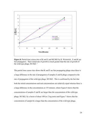 Figure 8. Partial time course titer of K and E and M13KE by H. Weinreich. E and K are
fast propagators. Their initial rate of growth is much greater than the rate of growth of
the wild-type phage, M13KE.11
The partial time course titer shows that K and E are fast propagating phage since there is
a large difference in the rate of propagation of samples E and K phage compared to the
rate of propagation of the wild-type phage, M13KE. This is confirmed by the fact that
both the initial concentrations and end concentrations are relatively equal whereas there is
a large difference in the concentrations at 135 minutes, where Figure 8 shows that the
concentrations of samples E and K are larger than the concentration of the wild-type
phage, M13KE, by a factor of about 100 (or 2 log units) and Figure 7 shows that the
concentration of sample K is larger than the concentration of the wild-type phage,
28
2
3
4
5
6
7
8
9
10
11
0 50 100 150 200 250 300 350
Time (Minutes)
Lo
g(p
fu/
µL)
M13KE
Sample E
Sample K
 