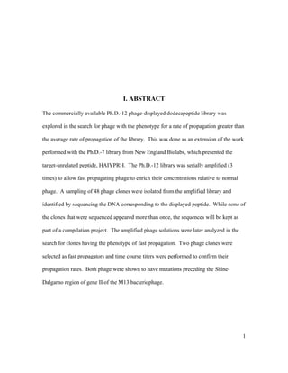 I. ABSTRACT
The commercially available Ph.D.-12 phage-displayed dodecapeptide library was
explored in the search for phage with the phenotype for a rate of propagation greater than
the average rate of propagation of the library. This was done as an extension of the work
performed with the Ph.D.-7 library from New England Biolabs, which presented the
target-unrelated peptide, HAIYPRH. The Ph.D.-12 library was serially amplified (3
times) to allow fast propagating phage to enrich their concentrations relative to normal
phage. A sampling of 48 phage clones were isolated from the amplified library and
identified by sequencing the DNA corresponding to the displayed peptide. While none of
the clones that were sequenced appeared more than once, the sequences will be kept as
part of a compilation project. The amplified phage solutions were later analyzed in the
search for clones having the phenotype of fast propagation. Two phage clones were
selected as fast propagators and time course titers were performed to confirm their
propagation rates. Both phage were shown to have mutations preceding the Shine-
Dalgarno region of gene II of the M13 bacteriophage.
1
 