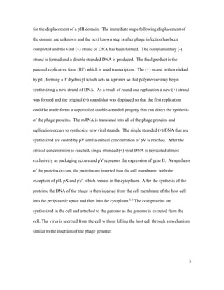for the displacement of a pIII domain. The immediate steps following displacement of
the domain are unknown and the next known step is after phage infection has been
completed and the viral (+) strand of DNA has been formed. The complementary (-)
strand is formed and a double stranded DNA is produced. The final product is the
parental replicative form (RF) which is used transcription. The (+) strand is then nicked
by pII, forming a 3’-hydroxyl which acts as a primer so that polymerase may begin
synthesizing a new strand of DNA. As a result of round one replication a new (+) strand
was formed and the original (+) strand that was displaced so that the first replication
could be made forms a supercoiled double-stranded progeny that can direct the synthesis
of the phage proteins. The mRNA is translated into all of the phage proteins and
replication occurs to synthesize new viral strands. The single stranded (+) DNA that are
synthesized are coated by pV until a critical concentration of pV is reached. After the
critical concentration is reached, single stranded (+) viral DNA is replicated almost
exclusively as packaging occurs and pV represses the expression of gene II. As synthesis
of the proteins occurs, the proteins are inserted into the cell membrane, with the
exception of pII, pX and pV, which remain in the cytoplasm. After the synthesis of the
proteins, the DNA of the phage is then injected from the cell membrane of the host cell
into the periplasmic space and then into the cytoplasm.2, 3
The coat proteins are
synthesized in the cell and attached to the genome as the genome is excreted from the
cell. The virus is secreted from the cell without killing the host cell through a mechanism
similar to the insertion of the phage genome.
3
 