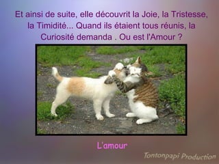 Et ainsi de suite, elle découvrit la Joie, la Tristesse, la Timidité... Quand ils étaient tous réunis, la Curiosité demanda . Ou est l'Amour ? L’amour 