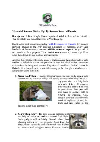 5 Essential Raccoon Control Tips By Raccoon Removal Experts
Description: 5 Tips Straight From Experts of Wildlife Removal in Oakville
That Can Help You Avoid Raccoons at Your Property.
People often seek services regarding wildlife removal in Oakville for raccoon
removal. Thanks to the ever growing population of raccoons, every year
hundreds of homeowners contact wildlife removal experts to get rid of
raccoons from their property. These troublesome creatures become a problem
when they decide to live in attics and basements.
Another thing that people rarely know is that raccoons themselves hide a wide
number of infectious worms and parasites in their fur which makes them even
more unfit to be living with humans. Experienced providers of animal control in
Oakville therefore advise to restrict their entry at the first place which can be
achieved by using these tips:
1. Never Feed Them – Feeding these harmless creatures might appear cute
once or twice, however, things will surely get ugly when they decide to
pay you a visit on a daily basis
in search of food. If raccoons
are constantly able to find food
in your lawn, then you will
soon have to contact wildlife
removal in Oakville. Also,
bring in your pet’s food bowels
inside at night and pick-up the
fruits and nuts fallen in the
lawn to avoid them completely.
2. Scare Them Away – It’s easy to scare raccoons with
the help of radios or motion-activated flash lights.
Such gadgets will definitely dissuade them from
showing interest in your property. Apart from that
flags, water sprinklers and scarecrows can frighten
raccoons as well to a great extent. However, none of
 