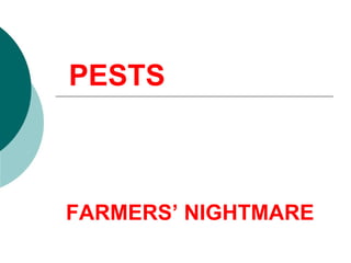 PESTS FARMERS’ NIGHTMARE 