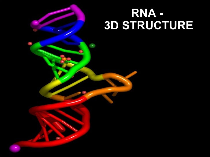 structure salts 3d structure CELLS