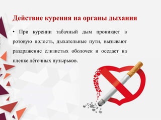 Действие курения на органы дыхания
• При курении табачный дым проникает в
ротовую полость, дыхательные пути, вызывают
раздражение слизистых оболочек и оседает на
пленке лёгочных пузырьков.
 