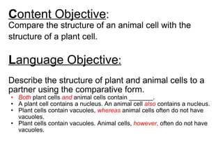 C ontent Objective :  Compare the structure of an animal cell with the structure of a plant cell.   L anguage Objective : Describe the structure of plant and animal cells to a partner using the comparative form.   Both  plant cells  and   animal cells contain _______. A plant cell contains a nucleus. An animal cell  also  contains a nucleus. Plant cells contain vacuoles,  whereas  animal cells often do not have vacuoles. Plant cells contain vacuoles. Animal cells,  however ,  often do not have vacuoles. 