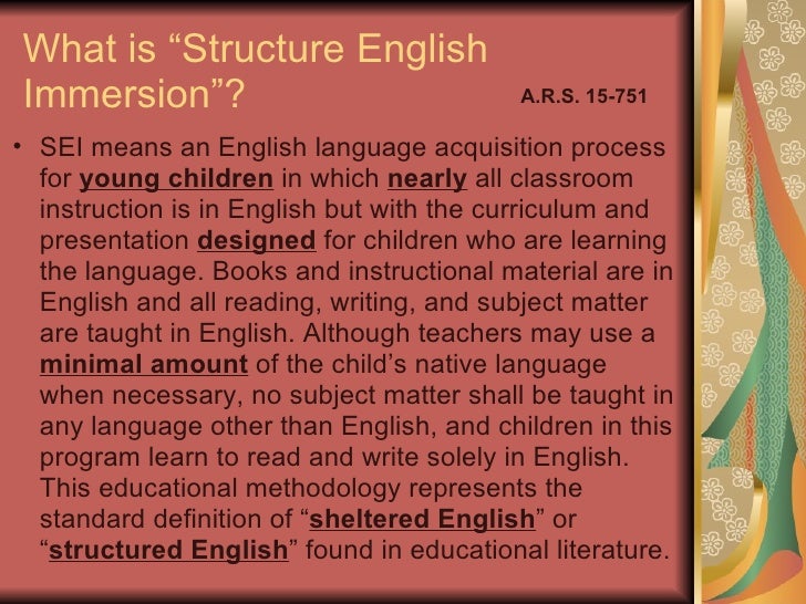 Foundations_Definition of SEI Objectives