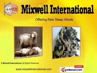 OfferingRaw Sleep Wools 