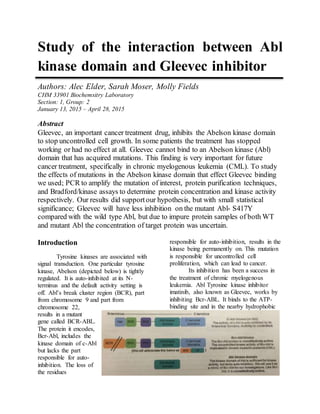 Study of the interaction between Abl
kinase domain and Gleevec inhibitor
Authors: Alec Elder, Sarah Moser, Molly Fields
CHM 33901 Biochemsitry Laboratory
Section: 1, Group: 2
January 13, 2015 – April 28, 2015
Abstract
Gleevec, an important cancer treatment drug, inhibits the Abelson kinase domain
to stop uncontrolled cell growth. In some patients the treatment has stopped
working or had no effect at all. Gleevec cannot bind to an Abelson kinase (Abl)
domain that has acquired mutations. This finding is very important for future
cancer treatment, specifically in chronic myelogenous leukemia (CML). To study
the effects of mutations in the Abelson kinase domain that effect Gleevec binding
we used; PCR to amplify the mutation of interest, protein purification techniques,
and Bradford/kinase assays to determine protein concentration and kinase activity
respectively. Our results did supportour hypothesis, but with small statistical
significance; Gleevec will have less inhibition on the mutant Abl- S417Y
compared with the wild type Abl, but due to impure protein samples of both WT
and mutant Abl the concentration of target protein was uncertain.
Introduction
Tyrosine kinases are associated with
signal transduction. One particular tyrosine
kinase, Abelson (depicted below) is tightly
regulated. It is auto-inhibited at its N-
terminus and the default activity setting is
off. Abl’s break cluster region (BCR), part
from chromosome 9 and part from
chromosome 22,
results in a mutant
gene called BCR-ABL.
The protein it encodes,
Bcr-Abl, includes the
kinase domain of c-Abl
but lacks the part
responsible for auto-
inhibition. The loss of
the residues
responsible for auto-inhibition, results in the
kinase being permanently on. This mutation
is responsible for uncontrolled cell
proliferation, which can lead to cancer.
Its inhibition has been a success in
the treatment of chronic myelogenous
leukemia. Abl Tyrosine kinase inhibitor
imatinib, also known as Gleevec, works by
inhibiting Bcr-ABL. It binds to the ATP-
binding site and in the nearby hydrophobic
 