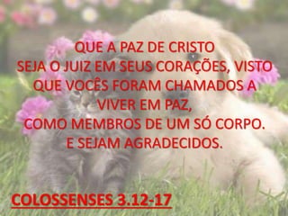 QUE A PAZ DE CRISTO
SEJA O JUIZ EM SEUS CORAÇÕES, VISTO
QUE VOCÊS FORAM CHAMADOS A
VIVER EM PAZ,
COMO MEMBROS DE UM SÓ CORPO.
E SEJAM AGRADECIDOS.
COLOSSENSES 3.12-17
 