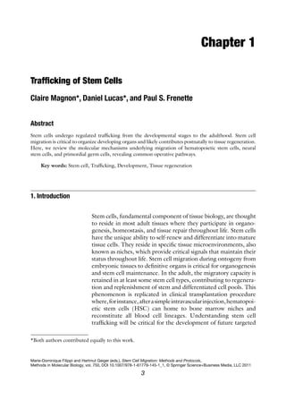 3
Chapter 1
Trafficking of Stem Cells
Claire Magnon*, Daniel Lucas*, and Paul S. Frenette
Abstract
Stem cells undergo regulated trafficking from the developmental stages to the adulthood. Stem cell
migration is critical to organize developing organs and likely contributes postnatally to tissue regeneration.
Here, we review the molecular mechanisms underlying migration of hematopoietic stem cells, neural
stem cells, and primordial germ cells, revealing common operative pathways.
Key words: Stem cell, Trafficking, Development, Tissue regeneration
Stem cells, fundamental component of tissue biology, are thought
to reside in most adult tissues where they participate in organo-
genesis, homeostasis, and tissue repair throughout life. Stem cells
have the unique ability to self-renew and differentiate into mature
tissue cells. They reside in specific tissue microenvironments, also
known as niches, which provide critical signals that maintain their
status throughout life. Stem cell migration during ontogeny from
embryonic tissues to definitive organs is critical for organogenesis
and stem cell maintenance. In the adult, the migratory capacity is
retained in at least some stem cell types, contributing to regenera-
tion and replenishment of stem and differentiated cell pools. This
phenomenon is replicated in clinical transplantation procedure
where,forinstance,afterasimpleintravascularinjection,hematopoi-
etic stem cells (HSC) can home to bone marrow niches and
reconstitute all blood cell lineages. Understanding stem cell
trafficking will be critical for the development of future targeted
1. Introduction
Marie-Dominique Filippi and Hartmut Geiger (eds.), Stem Cell Migration: Methods and Protocols,
Methods in Molecular Biology, vol. 750, DOI 10.1007/978-1-61779-145-1_1, © Springer Science+Business Media, LLC 2011
*Both authors contributed equally to this work.
 