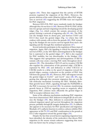 7
Trafficking of Stem Cells
regions (44). These data suggested that the activity of IFTIM
proteins regulated the migration of the PGCs. However, the
genetic deletion of the entire Iftim loci did not affect PGC migra-
tion or survival (45) suggesting the IFTIMs were not required
for PGC migration.
Between E8.5–9.0, PGC move randomly inside the hindgut
although they do not leave it (40). Between E9.0–9.5 PGC divide
into two groups and start migrating toward the developing genital
ridges (Fig. 1a), which contain the somatic precursors of the
gonad, forming a network of migrating cells (41, 46). The PGC
exit the hindgut from its dorsal part, and between E10.5 and
E11.5 they reach the genital ridges (Fig. 1a) where they will
coalesce with somatic cells to form the gonads (40). PGC remain-
ing in the hindgut do not receive survival signals from steel-c-kit
signaling and die through Bax-mediated apoptosis (47).
Several molecules participate in the regulation of these steps of
migration. Again, Kitl-c-kit signaling is critical for migration and
survival of PGC; at day 10.5 Kitl is downregulated in the hindgut
but is expressed in the genital ridges (47). Kitl is also required
for PGC mobility, but not directionality, in the hindgut (38).
This suggests that upregulation and downregulation of Kitl by
somatic cells may create a moving PGC niche throughout devel-
opment (38). The chemokine CXCL12 and its receptor CXCR4
also regulate the colonization of the germinal ridge. CXCR4 is
expressed by PGC (48) and deficiency in either CXCL12 or
CXCR4 results in a delay in the speed of migration toward the
genital ridges, causing a reduction on the number of PGC that
will form the gonad (48, 49). However, PGC still migrate toward
the genital ridges in Cxcl12−/−
and Cxcr4−/−
mice (48, 49), sug-
gesting that although they promote migration they are not the
sole molecular mechanism recruiting the PGC. Similarly, fibro-
blast growth factor (FGF), signaling through the FGFR2IIIb in
the PGC is necessary for survival (50). In contrast, transforming
growth factor a (TGF-a) signaling seems to negatively affect
migration; PGC colonize more efficiently the genital ridges in
TGF-a receptor-deficient mice (51).
Some of the adhesion mechanisms mediating PGC migration
have been characterized. PGC deficient in integrin b1 do not colo-
nize the hindgut (30). Mice deficient in connexin43 also show
reduced migration speed and survival throughout the migration
process, probably through b1 integrin dysfunction (52). E-cadherin
also appears to be necessary for PGC specification and migration.
Blockade of E-cadherin function in embryo cultures inhibits PGC
appearance at E6.75 (53) and PGC condensation in the gonads at
E11.5 after migration toward the genital ridges (54).
Despite the fact that several factors regulating migration have
been identified, the identity of the molecule(s) that directs PGC
migration in the mouse remain unknown suggesting that more
than one factor may be acting in concert.
 
