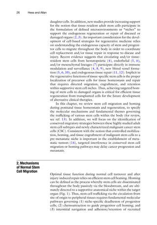 26 Hess and Allan
daughter cells. In addition, new studies provide increasing ­
support
for the notion that tissue-resident adult stem cells participate in
the formulation of defined microenvironments or “niches” to
support the endogenous regeneration or repair of diseased or
damaged organs (2, 3). An important consideration for the devel-
opment of cell-based strategies for regenerative medicine relies
on understanding the endogenous capacity of stem and progeni-
tor cells to migrate throughout the body in order to coordinate
cell replacement and/or tissue repair in response to disease and
injury. Recent evidence suggests that circulating and/or tissue-
resident stem cells from hematopoietic (4), endothelial (5, 6),
and/or mesenchymal lineages (7) participate directly in immune
modulation and surveillance (4, 8, 9), new blood vessel forma-
tion (5, 6, 10), and endogenous tissue repair (11, 12). Implicit in
the regenerative functions of tissue-specific stem cells is the proper
localization of precursor cells for tissue homeostasis and repair
that requires directed migration, engraftment, and retention
within supportive stem cell niches. Thus, achieving targeted hom-
ing of stem cells to damaged organs is critical for efficient tissue
regeneration from transplanted cells for the future development
of alternative clinical therapies.
In this chapter, we review stem cell migration and homing
during postnatal tissue homeostasis and regeneration, to specify
the molecular mechanisms and fundamental themes governing
the trafficking of various stem cells within the body (for review,
see ref. 13). In addition, we will focus on the identification of
conserved migratory strategies between these highly studied adult
stem cell subtypes and newly characterized malignant cancer stem
cells (CSC). Consistent with the notion that controlled mobiliza-
tion, homing, and tissue engraftment of malignant stem cells to a
pre-metastatic niche is important in the establishment of meta-
static tumors (14), targeted interference in conserved stem cell
migration or homing pathways may delay cancer progression and
metastasis.
Optimal tissue function during normal cell turnover and after
injury-induced repair relies on efficient stem cell homing. Homing
can be defined as the process whereby stem cells are disseminated
throughout the body passively via the bloodstream, and are ulti-
mately directed to a supportive anatomical niche within the target
organ (Fig. 1). Thus, stem cell trafficking via the circulation from
site of origin to peripheral tissues requires fundamental molecular
pathways governing (1) niche-specific deadhesion of progenitor
cells; (2) chemoattraction to guide progenitor cell homing; and
(3) interstitial navigation and adhesion/retention of recruited
2. Mechanisms
of Normal Stem
Cell Migration
 