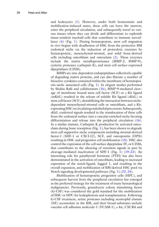 28 Hess and Allan
and leukocytes (1). However, under both homeostatic and
­
mobilization-induced states, these cells can leave the marrow,
enter the peripheral circulation, and subsequently travel to vari-
ous tissues where they can divide and differentiate to replenish
tissue-resident myeloid cells that contribute to immune surveil-
lance (4) (Fig. 1). During hematopoiesis, stem cell migration
in vivo begins with deadhesion of HSC from the protective BM
endosteal niche via the induction of proteolytic enzymes by
hematopoietic, mesenchymal-stromal, and solid bone-derived
cells including osteoblasts and osteoclasts (2). These enzymes
include the matrix metalloproteinases (MMP-2, MMP-9),
cysteine proteases (cathepsin K), and stem cell surface-expressed
dipeptidases (CD26).
MMPs are zinc-dependent endopeptidases collectively capable
of degrading matrix proteins, and can also liberate a number of
bioactive cytokines contained within the membrane of hematopoi-
etic-niche associated cells (Fig. 1). In elegant studies performed
by Shahin Rafii and collaborators (16), MMP-9-mediated cleav-
age of membrane bound stem cell factor (SCF) or c-Kit ligand
(mKitL) resulted in the release of soluble Kit ligand (sKitL) or
stem cell factor (SCF), destabilizing the interaction between niche-
dependant mesenchymal-stromal cells or osteoblasts, and c-Kit-
expressingHSCorcirculatingendothelialprecursors.Subsequently,
sKitL conferred signals resulted in the translocation of these cells
from the endosteal surface into a vascular-enriched niche favoring
differentiation and release into the peripheral circulation (16).
In a similar manner, Cathepsin K production by activated osteo-
clasts during bone resorption (Fig. 1), has been shown to degrade
stem cell supportive niche components including stromal-derived
factor-1 (SDF-1 or CXCL12), SCF, and osteopontin (OPN)
resulting in HSC and progenitor cell mobilization (18). HSC also
control the expression of the cell surface dipeptidase IV, or CD26,
that contributes to the silencing of retention signals in part by
cleavage-mediated inactivation of SDF-1 (Fig. 1) (19–22). An
interesting role for parathyroid hormone (PTH) has also been
demonstrated in the activation of osteoblasts, leading to increased
expression of the notch-ligand, Jagged 1, and resulting in the
overall expansion, and mobilization of BM-derived HSC pool via
Notch-signaling developmental pathways (Fig. 1) (23, 24).
Mobilization of hematopoietic progenitor cells (HPC), and
subsequent harvest from the peripheral circulation has emerged
as the preferred strategy for the treatment of many hematological
malignancies. Previously, granulocyte colony stimulating factor
(G-CSF) was considered the gold standard for the mobilization
of HSC or HPC for leukaphoresis and transplantation. Following
G-CSF treatment, serine proteases including neutrophil elastase
(NE) accumulate in the BM, and their broad substrates include
vascular cell adhesion molecule-1 (VCAM-1), c-kit, CXCR4 and
 