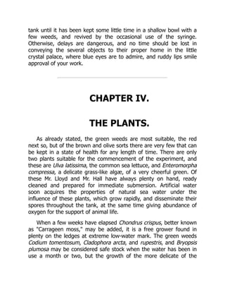 tank until it has been kept some little time in a shallow bowl with a
few weeds, and revived by the occasional use of the syringe.
Otherwise, delays are dangerous, and no time should be lost in
conveying the several objects to their proper home in the little
crystal palace, where blue eyes are to admire, and ruddy lips smile
approval of your work.
CHAPTER IV.
THE PLANTS.
As already stated, the green weeds are most suitable, the red
next so, but of the brown and olive sorts there are very few that can
be kept in a state of health for any length of time. There are only
two plants suitable for the commencement of the experiment, and
these are Ulva latissima, the common sea lettuce, and Enteromorpha
compressa, a delicate grass-like algæ, of a very cheerful green. Of
these Mr. Lloyd and Mr. Hall have always plenty on hand, ready
cleaned and prepared for immediate submersion. Artificial water
soon acquires the properties of natural sea water under the
influence of these plants, which grow rapidly, and disseminate their
spores throughout the tank, at the same time giving abundance of
oxygen for the support of animal life.
When a few weeks have elapsed Chondrus crispus, better known
as "Carrageen moss," may be added, it is a free grower found in
plenty on the ledges at extreme low-water mark. The green weeds
Codium tomentosum, Cladophora arcta, and rupestris, and Bryopsis
plumosa may be considered safe stock when the water has been in
use a month or two, but the growth of the more delicate of the
 