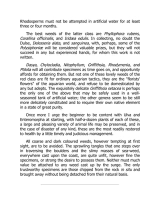 Rhodosperms must not be attempted in artificial water for at least
three or four months.
The best weeds of the latter class are Phyllophora rubens,
Corallina officinalis, and Iridæa edulis. In collecting, no doubt the
Dulse, Delesseria alata, and sanguinea, with, perhaps, some of the
Polysiphoniæ will be considered valuable prizes, but they will not
succeed in any but experienced hands, for whom this work is not
written.
Dasya, Chylocladia, Nitophyllum, Griffithsia, Rhodymenia, and
Ptilota will all contribute specimens as time goes on, and opportunity
affords for obtaining them. But not one of these lovely weeds of the
red class are fit for ordinary aquarian tactics, they are the "florists'
flowers" of the aquarian world, and refuse to be domesticated by
any but adepts. The exquisitely delicate Griffithsia setacea is perhaps
the only one of the above that may be safely used in a well-
seasoned tank of artificial water; the other genera seem to be still
more delicately constituted and to require their own native element
in a state of great purity.
Once more I urge the beginner to be content with Ulva and
Enteromorpha at starting, with half-a-dozen plants of each of these,
a large and pleasing variety of animal life may be preserved, and in
the case of disaster of any kind, these are the most readily restored
to health by a little timely and judicious management.
All coarse and dark coloured weeds, however tempting at first
sight, are to be avoided. The sprawling tangles that one steps over
in traversing the boulders and the slimy masses of sea-weed,
everywhere cast upon the coast, are quite unfit, however fine the
specimens, or strong the desire to possess them. Neither must much
value be attached to any weed cast up by the surge. The only
trustworthy specimens are those chipped from the rock in situ and
brought away without being detached from their natural basis.
 