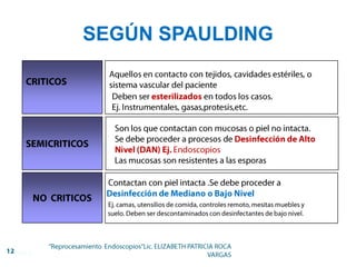 SEGÚN SPAULDING
 
