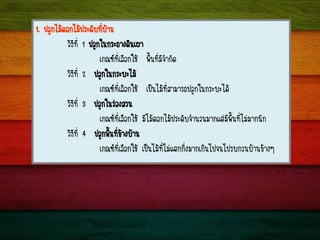 1. »ÅÙ¡äÁŒ´Í¡äÁŒ»ÃÐ´Ñº·ÕèºŒÒ¹
ÇÔ¸Õ·Õè 1 »ÅÙ¡ã¹¡ÃÐ¶Ò§´Ô¹à¼Ò
à¡³±·ÕèàÅ×Í¡ãªŒ ¾×é¹·ÕèÁÕ¨íÒ¡Ñ´
ÇÔ¸Õ·Õè 2 »ÅÙ¡ã¹¡ÃÐºÐäÁŒ
à¡³±·ÕèàÅ×Í¡ãªŒ à»š¹äÁŒ·ÕèÊÒÁÒÃ¶»ÅÙ¡ã¹¡ÃÐºÐä´Œ
ÇÔ¸Õ·Õè 3 »ÅÙ¡ã¹Ã‹Í§ÊÇ¹
à¡³±·ÕèàÅ×Í¡ãªŒ ÁÕäÁŒ´Í¡äÁŒ»ÃÐ´Ñº¨íÒ¹Ç¹ÁÒ¡áµ‹ÁÕ¾×é¹·ÕèäÁ‹ÁÒ¡¹Ñ¡
ÇÔ¸Õ·Õè 4 »ÅÙ¡¾×é¹·Õè¢ŒÒ§ºŒÒ¹
à¡³±·ÕèàÅ×Í¡ãªŒ à»š¹äÁŒ·ÕèäÁ‹áµ¡¡Ôè§ÁÒ¡à¡Ô¹ä»¨¹ä»Ãº¡Ç¹ºŒÒ¹¢ŒÒ§æ
 