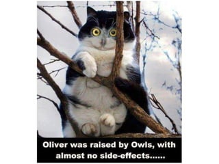 Hidden Treasure Bazaar Presentation 9/16/14 8:00PM EST