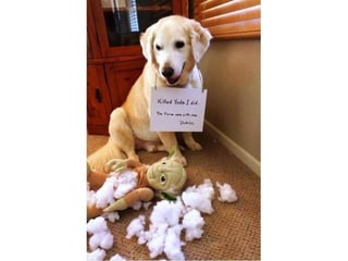 Hidden Treasure Bazaar Presentation 9/16/14 8:00PM EST