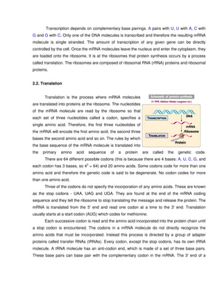 Transcription depends on complementary base pairings. A pairs with U, U with A, C with
G and G with C. Only one of the DNA molecules is transcribed and therefore the resulting mRNA
molecule is single stranded. The amount of transcription of any given gene can be directly
controlled by the cell. Once the mRNA molecules leave the nucleus and enter the cytoplasm, they
are loaded onto the ribosome. It is at the ribosomes that protein synthesis occurs by a process
called translation. The ribosomes are composed of ribosomal RNA (rRNA) proteins and ribosomal
proteins.


2.2. Translation


       Translation is the process where mRNA molecules
are translated into proteins at the ribosome. The nucleotides
of the mRNA molecule are read by the ribosome so that
each set of three nucleotides called a codon, specifies a
single amino acid. Therefore, the first three nucleotides of
the mRNA will encode the first amino acid, the second three
bases the second amino acid and so on. The rules by which
the base sequence of the mRNA molecule is translated into
the   primary   amino   acid   sequence     of   a   protein    are   called   the   genetic   code.
       There are 64 different possible codons (this is because there are 4 bases: A, U, C, G, and
each codon has 3 bases, so 43 = 64) and 20 amino acids. Some codons code for more than one
amino acid and therefore the genetic code is said to be degenerate. No codon codes for more
than one amino acid.
       Three of the codons do not specify the incorporation of any amino acids. These are known
as the stop codons - UAA, UAG and UGA. They are found at the end of the mRNA coding
sequence and they tell the ribosome to stop translating the message and release the protein. The
mRNA is translated from the 5' end and read one codon at a time to the 3' end. Translation
usually starts at a start codon (AUG) which codes for methionine.
       Each successive codon is read and the amino acid incorporated into the protein chain until
a stop codon is encountered. The codons in a mRNA molecule do not directly recognize the
amino acids that must be incorporated. Instead this process is directed by a group of adapter
proteins called transfer RNAs (tRNAs). Every codon, except the stop codons, has its own tRNA
molecule. A tRNA molecule has an anti-codon end, which is made of a set of three base pairs.
These base pairs can base pair with the complementary codon in the mRNA. The 3' end of a
 