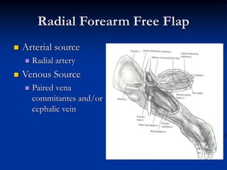 Radial Forearm Free Flap
 Arterial source
 Radial artery
 Venous Source
 Paired vena
commitantes and/or
cephalic vein
 
