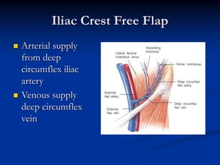Iliac Crest Free Flap
 Arterial supply
from deep
circumflex iliac
artery
 Venous supply
deep circumflex
vein
 