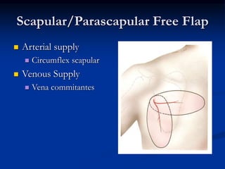 Scapular/Parascapular Free Flap
 Arterial supply
 Circumflex scapular
 Venous Supply
 Vena commitantes
 