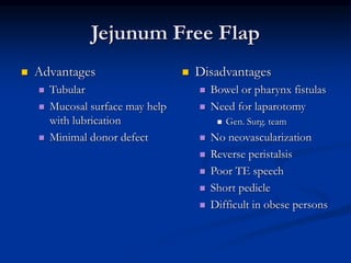 Jejunum Free Flap
 Advantages
 Tubular
 Mucosal surface may help
with lubrication
 Minimal donor defect
 Disadvantages
 Bowel or pharynx fistulas
 Need for laparotomy
 Gen. Surg. team
 No neovascularization
 Reverse peristalsis
 Poor TE speech
 Short pedicle
 Difficult in obese persons
 