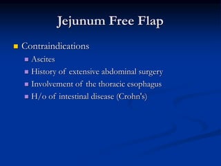 Jejunum Free Flap
 Contraindications
 Ascites
 History of extensive abdominal surgery
 Involvement of the thoracic esophagus
 H/o of intestinal disease (Crohn's)
 