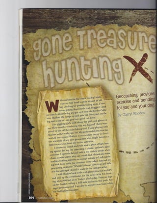 Gone Treasure Hunting - Natural Dog