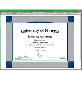 Workshop Certificate (Microsoft® Excel)
